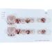 Toenails Glitter Glitter Artificial Toenail - Manicure Art Glossy Fake Toe Nails Sparkling Cat's Eye Toenail for Summer for Women Girls