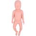 High Simulation Plastic Baby Doll for Teaching withFeatures Easy to Clean Suitable for Colleges and Clinical Training - Buy Online on GoSupps.com