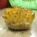 Home Decor 1pcs 300-400g Yellow Electroplated Natural Crystal Cluster Specimen Raw Rock Quartz Flowers Aura Stones Gift Modern House Decor Soothing Crystal Household qiangang - Buy Online on GoSupps.com