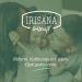 Shop Irisana Menstrual Cup Size L - 100% Surgical Silicone Transparent Eco-Friendly | Iriscup for IUP Compatibility - Buy Online on GoSupps.com
