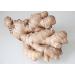 Organic Spicy Ginger Tea - Biomond 150g | Ayurvedic Ginger Root | Raw Food Quality | Soul Food from Bavaria - International Shipping - Buy Online on GoSupps.com