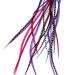 Real Feather Hair Extensions - Queen (10 Feathers)