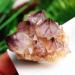 Home Natural Crystal Purple Quartz Crystal Cluster Home Decor Raw Stones and Minerals Full of Texture 6-7cm Purple - Buy Online on GoSupps.com