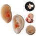 STOBOK 1 Pair Ear Picking Model Silicone Tunnels for Ears Ear Anatomy Model Anatomy Ear Model Fake Ear Artificial Display Ear Model Simulation Ear Mold Auditory Meatus Model Silica Gel - Buy Online on GoSupps.com