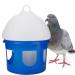 Pigeon Feeder Large Capacity Automatic Pigeon Feeder Water Dispenser Birds ABS Material Water Drinker (2L)