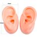 Simulation Ear Model - Soft Silicone Ear Model for Acupuncture - Silicone Artificial Ear Model for Ear Picking Practice Studs Earring Display Props - Buy Online on GoSupps.com