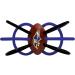 NFL Baltimore Ravens BabyFanatic Winkel - Officially Licensed Baby Toy - Buy Online on GoSupps.com