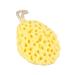 Buy Asixx Hydrophilic Polyurethane Shower Sponge | Soft & Heat Resistant Bathing Sponge in 3 Colors - Easy to Wash & Dry - Buy Online on GoSupps.com