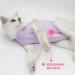 Easy Joy Recovery Suit for Cats - Postoperative Litter Clothing for Wounds & Skin Diseases | E-Collar Alternative - Soft Indoor Pet Outfit (L Purple) - Buy Online on GoSupps.com