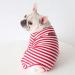 Classic Striped Bt Bear Fat Dog Pajamas - Soft Cotton One-Piece Costume for Pugs French Bulldogs & Small to Medium Dogs - Red (M) - Buy Online on GoSupps.com