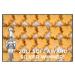 Certified Organic Pure Vermont Maple Candy - 1lb Pack | Mount Mansfield Maple - Buy Online on GoSupps.com
