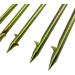 SPEARFISHING WORLD Multi-Prong Trident Harpoon Spear Tip for Hunting - 5 Barbed Prongs for Speargun, Polespear, and Hawaiian Sling - Buy Online on GoSupps.com