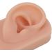 Silicone Right Human Ear Model for Jewelry Display and Piercing Practice - Dark Skin - Buy Online on GoSupps.com