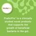 Nutragize P2Biotics Advanced Prebiotic and Probiotic Blend for Optimal Gut Health Supports Digestion Immunity and Overall Wellness - P2Biotics 60 Vegetable Capsules - Buy Online on GoSupps.com