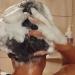 Yucca Root & Elderberry Shampoo - Gentle Sulfate-Free Scalp Treatment for Hair Growth | Reduce Hair Fall - 12 oz - Buy Online on GoSupps.com