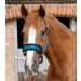 Personalised Headcollar/Head Collar/Bridle Cover. Padded Head collar cover. For nose band. Horse Pony Full Cob. COVER ONLY