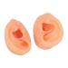 Long Lasting Waterproof Soft Artificial Ear Display Model for Medical Professionals - Buy Online on GoSupps.com