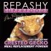 Repashy Crested Gecko MRP Diet - 8 Oz Jar | Premium Crested Gecko Food - Buy Online on GoSupps.com