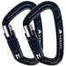 PANDENGZHE Climbing Carabiners, 25KN (5620 lbs) 3.9" Heavy Duty Carabiner Clip, Multipurpose for Rigging, Ropes, Hammocks (2pack)