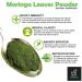 Metrol Leanbeing Organic Moringa (Olifera) Leaf Powder- Powerful Vitamins & Antioxidants (200 Gm) - Buy Online on GoSupps.com