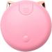 Jiklophg Easy to Use Cartoon Ears Hydrating Instrument Nano Cute Portable Handheld Charging Face Hydrating Instrument Pink - Buy Online on GoSupps.com