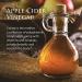 Enzyme Science Organic ACV Supplement - 60 Capsules for Digestive Health - Buy Online on GoSupps.com