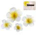 FRCOLOR 4Pcs Hawaiian Flower Hair Clip | Plumeria Hairpin for Kids & Women | Beach Foam Hair Accessories - Buy Online on GoSupps.com