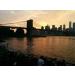 Print File 25 5x7-4 Archival Print Preservers - 1 Pack | Shop Now - Buy Online on GoSupps.com