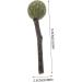 INOOMP 4pcs Guinea Chewing Playthings Rabbit Chewing Ball Guinea Pig Treats Bunny Teething Ball - Buy Online on GoSupps.com