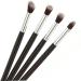 Healeved 12 Pcs Eye Make-up Brush Kit Lip Scrubber Brush Eyeshadow Brushes Eye Shadow Brush Lip Scruber Black - Buy Online on GoSupps.com