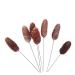 Zerodeko Dried Flower Floral Pinecone Flower Bouquet Diy Crafting Accessories Natural Dried Flowers Country Wedding Decor