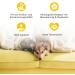 Purapep Care - Manuka Balsam for Dogs & Cats | Skin & Paw Regeneration | 50ml - Soothing Care for Stressed & Irritated Skin - Buy Online on GoSupps.com