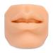 Ultrassist Soft Silicone Mouth Model for Practicing Suture Silicone Flexible Model for Education Display Rubber Mouth for Teaching Instructions