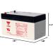 Yuasa NP1.2-12 12V 1.2AH Sealed Lead Acid Battery with F1 Terminal - Buy Internationally - Buy Online on GoSupps.com