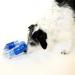 Outward Hound Planet Dog Orbee-Tuff Snack Ball for Dogs | Royal Blue Links - Premium Dog Toy | International Shipping Available - Buy Online on GoSupps.com
