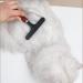 Cixilo Fore Grooming Charpet Rake Rukh Salon Pet Tsomb Gear Remover Brush Gandy - Buy Online on GoSupps.com