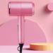 Hammer Awl Hair Dryer Hair Salon Dedicated Home High-Power Barber Shop Hair Dryer Does Not Hurt Hair Mute/D (D) - Buy Online on GoSupps.com
