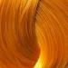 Buy Schwarzkopf IGORA Royal Premium Hair Color 7-4 Medium Blonde Beige | 60 ml | International Shipping Available - Buy Online on GoSupps.com