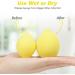AUAUY 4Pcs Makeup Sponges Set - Professional Beauty Sponge Set for Foundation Blending - Multi-colored Fruit Shape Sponges for Cream, Liquid, and Powder - Dry & Wet Use - Buy Online on GoSupps.com