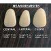 Ultra Thin Tooth Whitening Veneers for Missing or Broken Teeth | Realistic Cosmetically Enhanced Smile | Shade A-2 - Buy Online on GoSupps.com