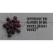 Buy Dr. White's Bright Whites Natural Whitening Toothpaste - Cherry Crush (3.5 oz) | Fluoride Anticavity & Breath Freshening - International Shipping Available - Buy Online on GoSupps.com