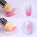WOKOTO 4 Pcs Ombre Nail Brush Set - Gradient Nail Sponges & Acrylic Application Tools - Buy Online on GoSupps.com