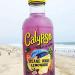 Calypso Island Wave Lemonade 16 Fl Oz (Pack of 12) | Real Fruit & Natural Flavors - Buy Online on GoSupps.com