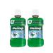 Dentup Herbal Mouthwash with Neem Natural Mouthwash for Fresh Breath Alcohol-Free & Fluoride-Free Herbal Mouth Rinse for Daily Oral Care 8.45 fl oz Each (Pack of 2)