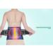 Wgust Back Support Belt for Lower Back Relief - Adjustable Non-Slip Breathable Support for Men & Women (Size Small) - Buy Online on GoSupps.com