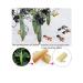 Organic Loofah Exfoliating Bath Scrubber Sponge - Ideal for Bath, Shower, and Spa (1 Pack) - Buy Online on GoSupps.com