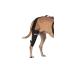 Walkabout canine knee brace (Medium Left)