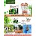 Detox Foot Patch Health Care All-Natural Bamboo Detox Foot Pads to Remove Body Toxins Free Socks for you(60 Packs 120 Pieces) - Buy Online on GoSupps.com