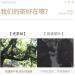 Pu-erh tea 2016 Jingmai 357g.Raw - Buy Online on GoSupps.com