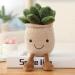 OUKEYI 9.8 inch Succulents Plush Toy Flower Pot | Stuffed Plushie Pillow Decoration | Cute Soft Plants Throw Pillow - Khaki | Christmas Birthday Gift - Buy Online on GoSupps.com